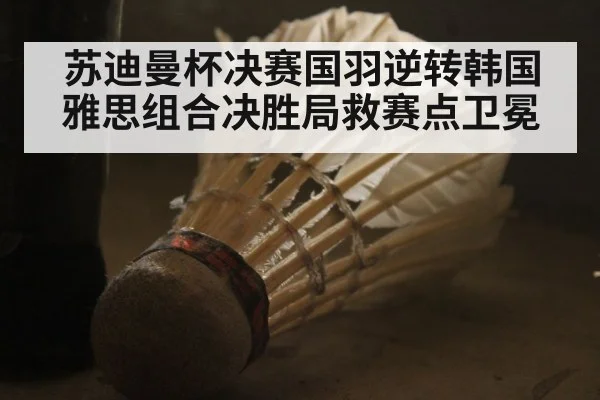 苏迪曼杯决赛国羽逆转韩国 雅思组合决胜局救赛点卫冕